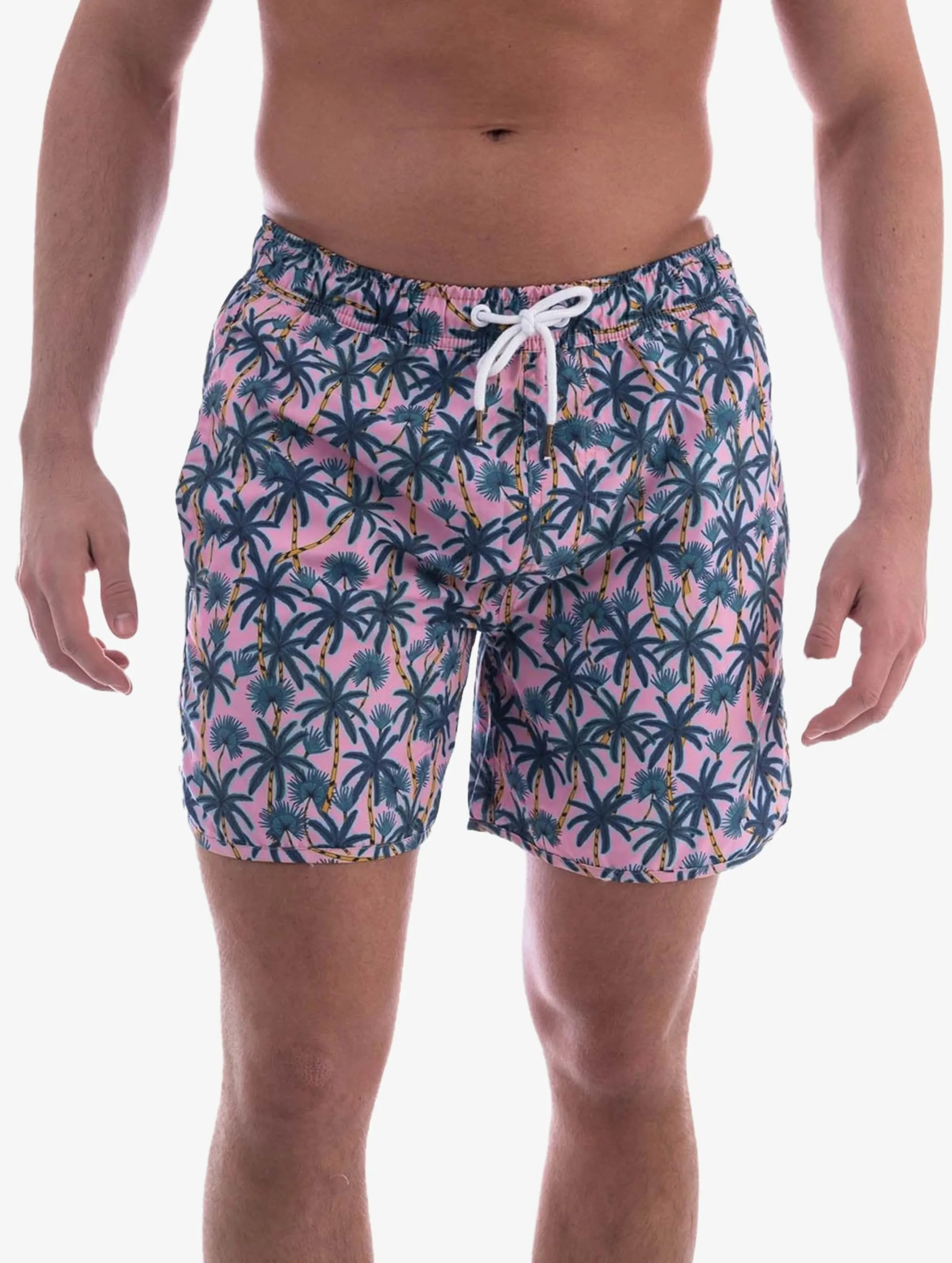 DEDICATED Swim Shorts